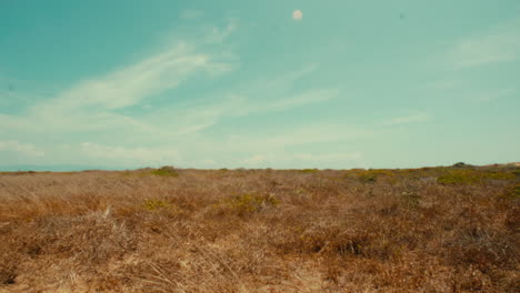 dry grassy field under a clear sky