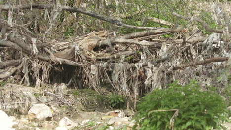 flooding debris and pollution
