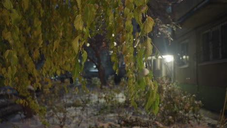 primer plano de hojas verdes cubiertas de helada con edificios residenciales en el fondo, la luz brillante de la ventana contrasta hermosamente con la fría atmósfera de invierno