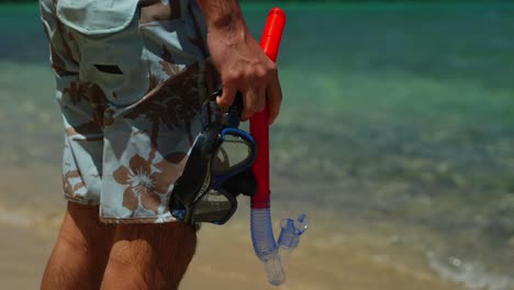 getting ready to dive into the crystal clear water of hawaii