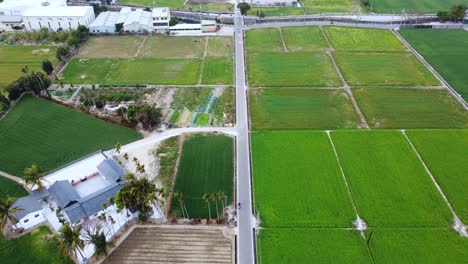 Un-Paisaje-Rural-Con-Una-Carretera-Que-Divide-Campos-Verdes-Y-Una-Granja,-Vista-Aérea