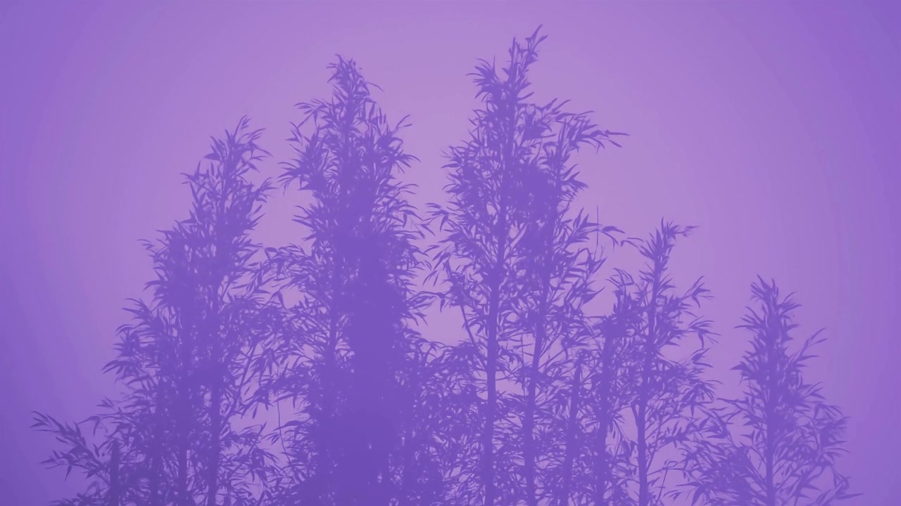 Silhuet af trægrene med blade mod en gradient lilla baggrund. Abstrakt naturligt baggrundsdesign.