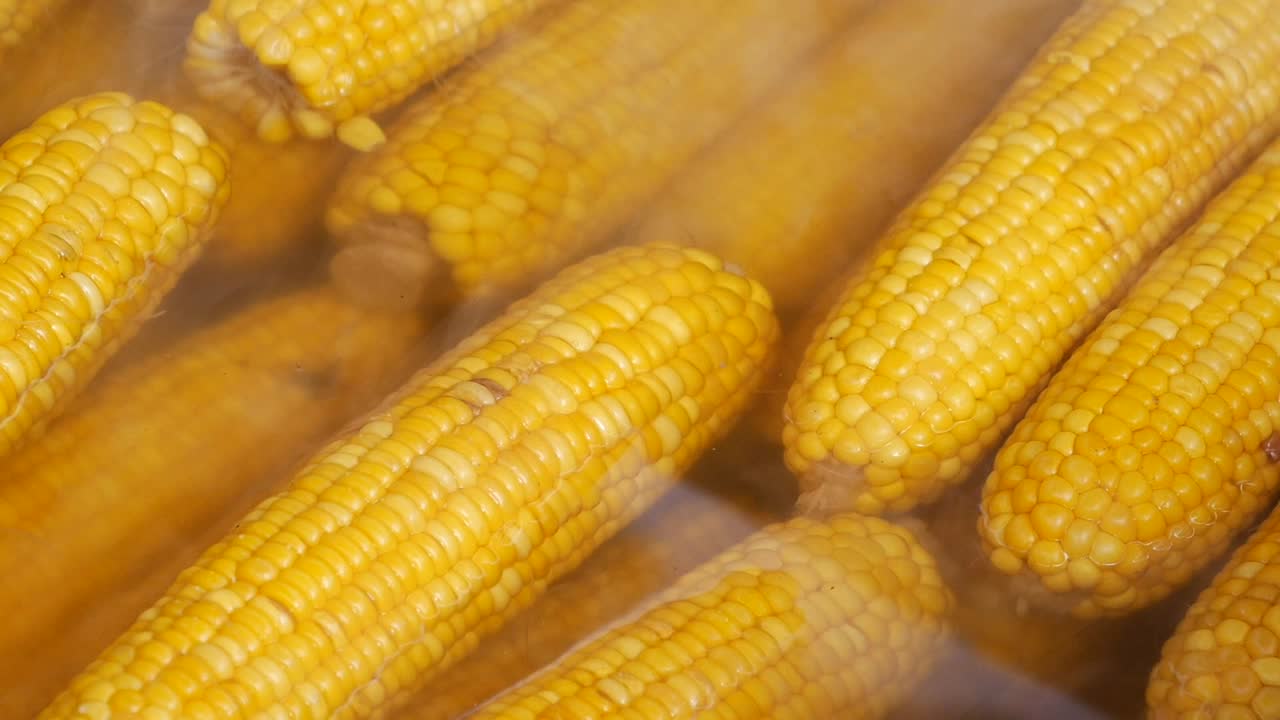 cerca de maíz en la mazorca hirviendo en agua