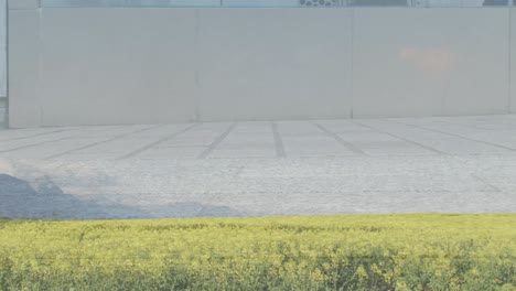 landscape with tall grass and mountains against time-lapse of low section of people walking