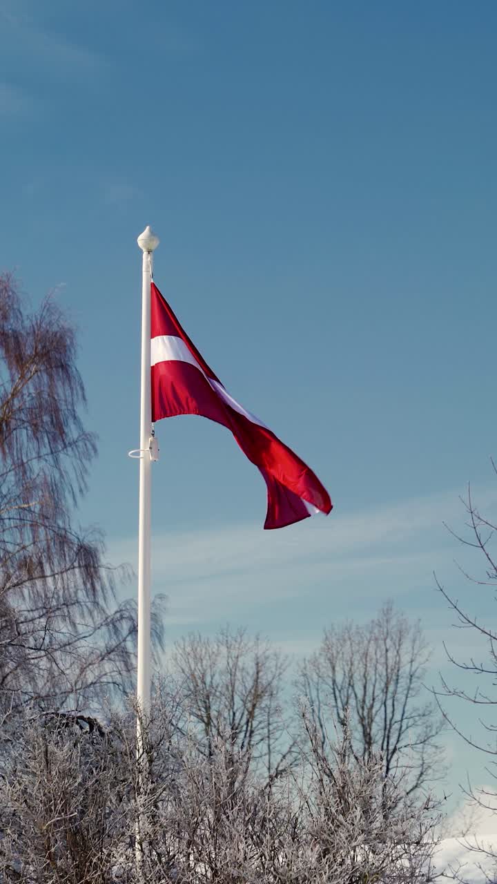 Latvian flag blowing in the wind on a snow covered winter day. Vertical video of a flag on a flagpole in the backyard with trees. Frost and snow on trees.