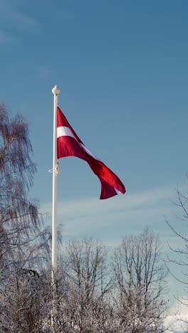 latvian flag blowing in the wind on a snow covered winter day. vertical video of a flag on a flagpole in the backyard with trees. frost and snow on trees.