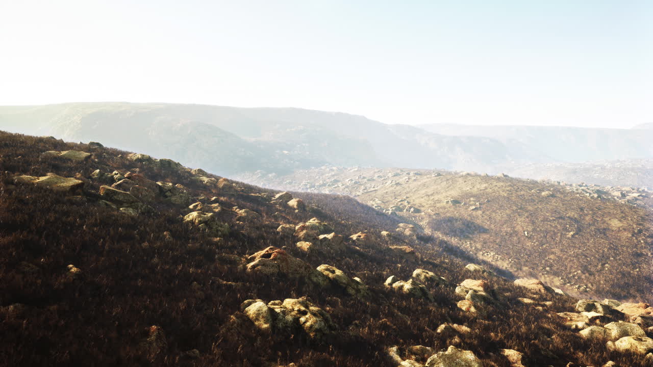 불타버린 산의 풍경