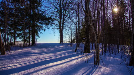 timelapse of shadow, sunlight and trees moving on a windy winter day in scandinavia