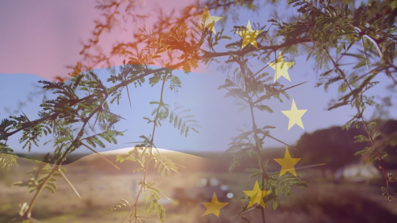 Animation of stars and leaves overlaying branches in rural landscape at sunset