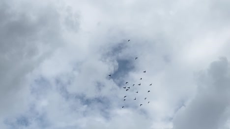 tiro hacia arriba de nubes blancas, cielo azul visible con un grupo de pájaros que pasan