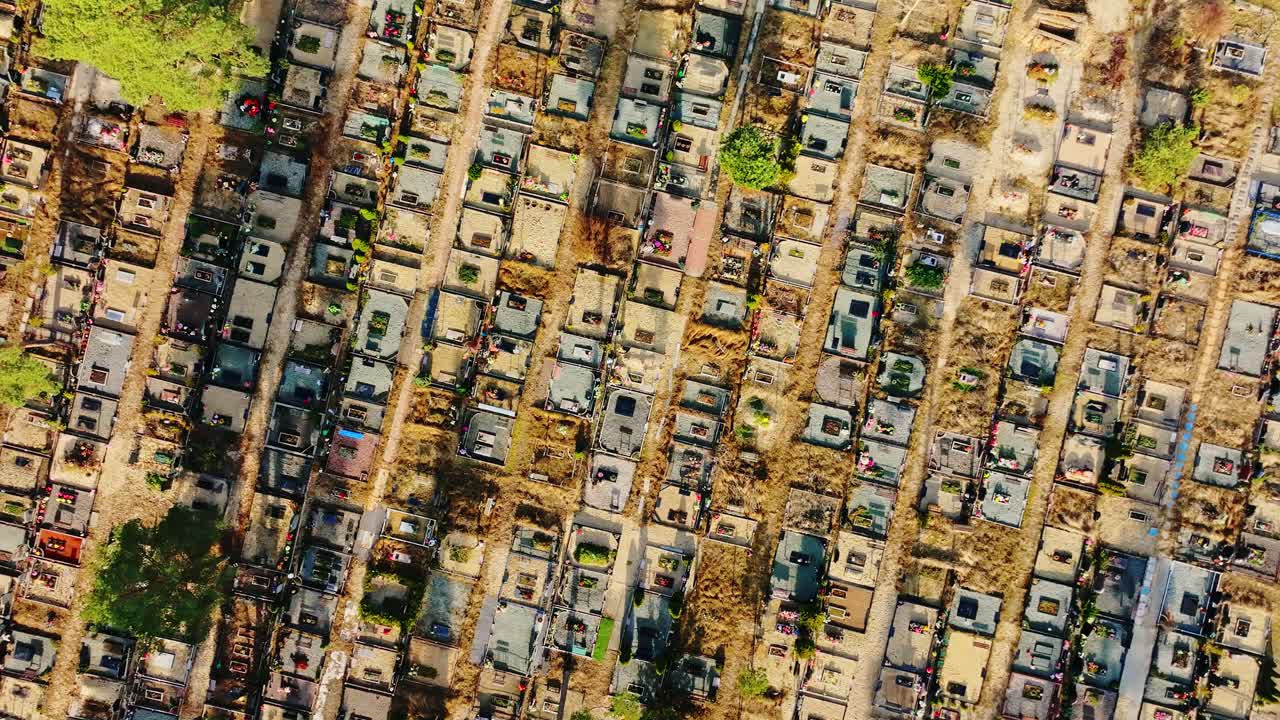 Rotating drone captures cemetery layout with sunlit symmetry and grave patterns