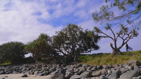 rocks and trees by the beach - crescent head nsw australia - slow motion