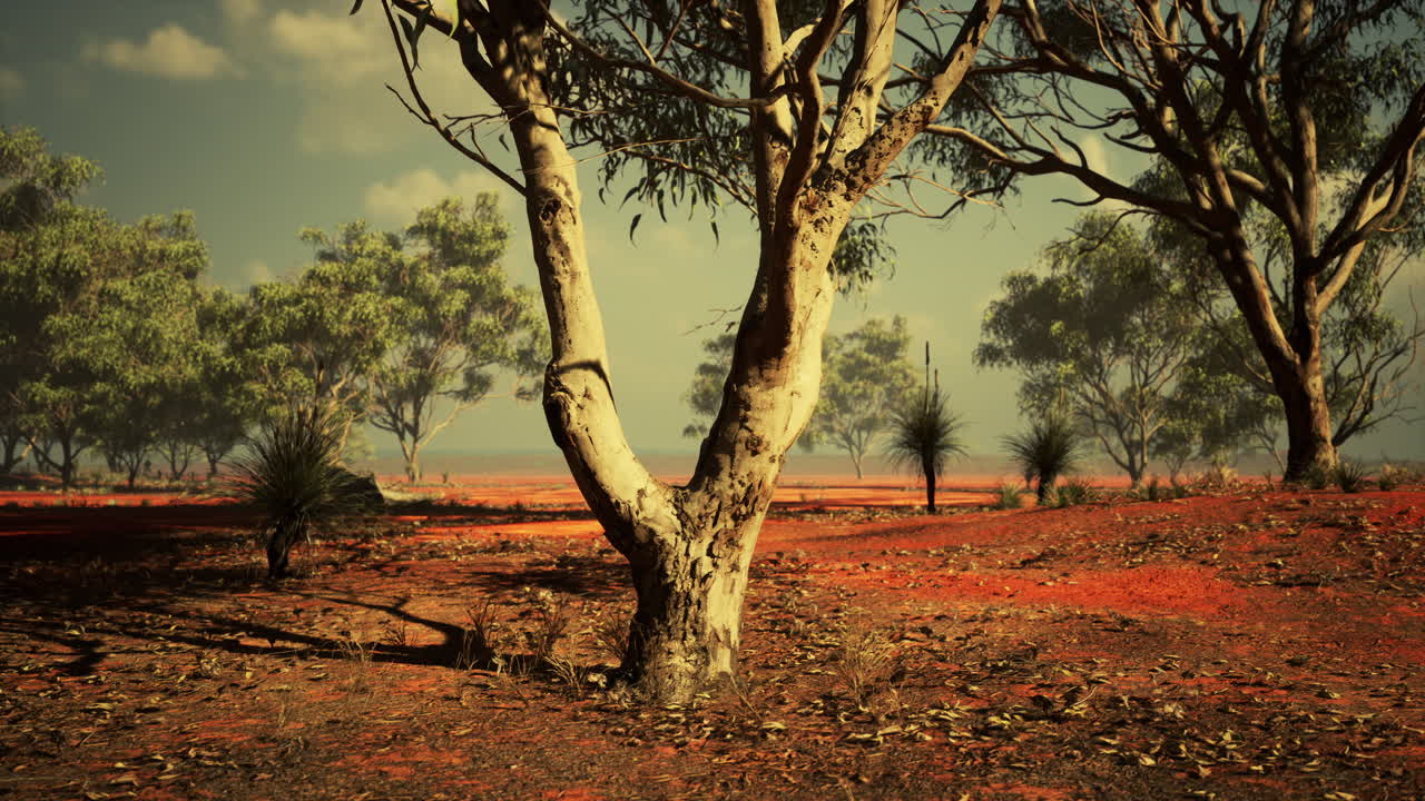 아프리카 의 나무 와 함께 아름다운 풍경