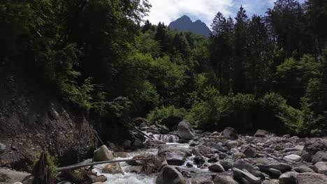 drone fly along mountain river surrounded by forest with mountain in background