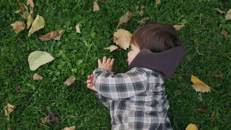 a cheerful asian kid lies on the grass and yellow leaves, a fun walk