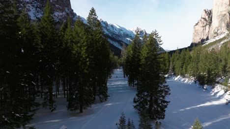 snowy mountain landscape with winter vegetation in line