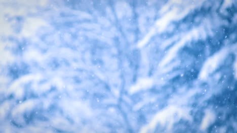 un clip sobre las nevadas en invierno