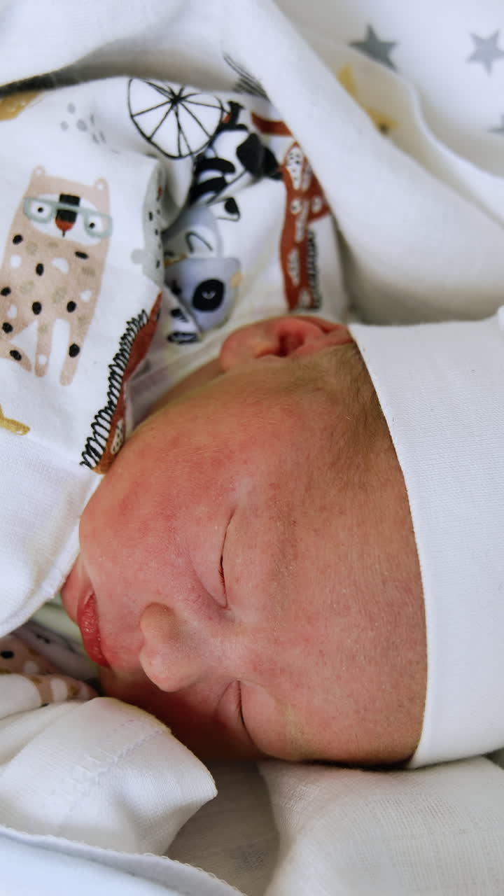 Angelic newborn baby sleeping peacefully in the blankets. Adorable Caucasian infant lying his head to camera. Vertical video