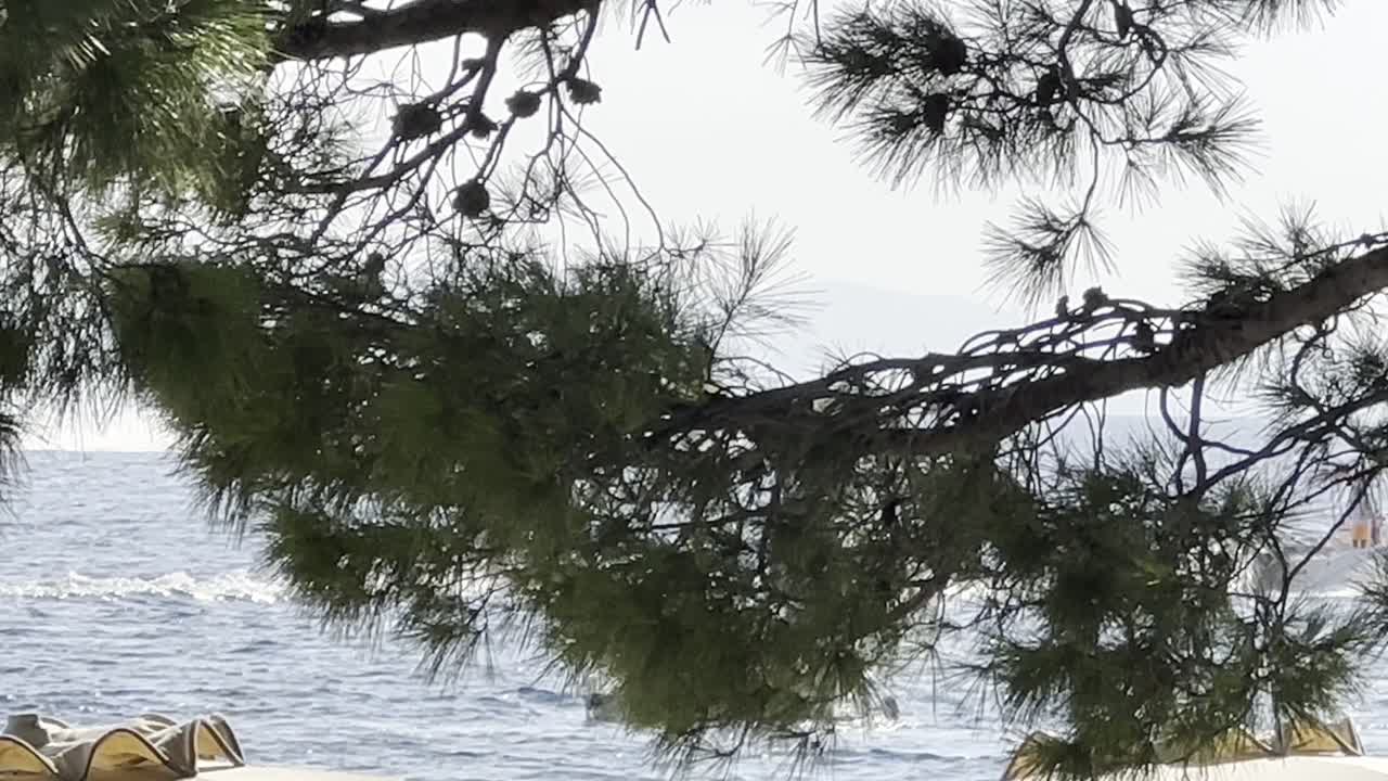 water plane lands on the sea and takes off again