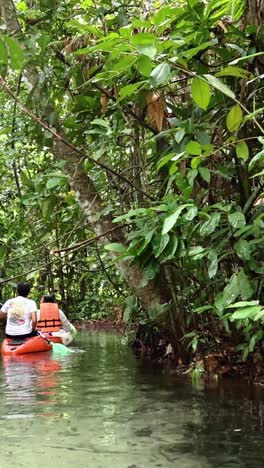 Kayakers navigate a lush, serene waterway