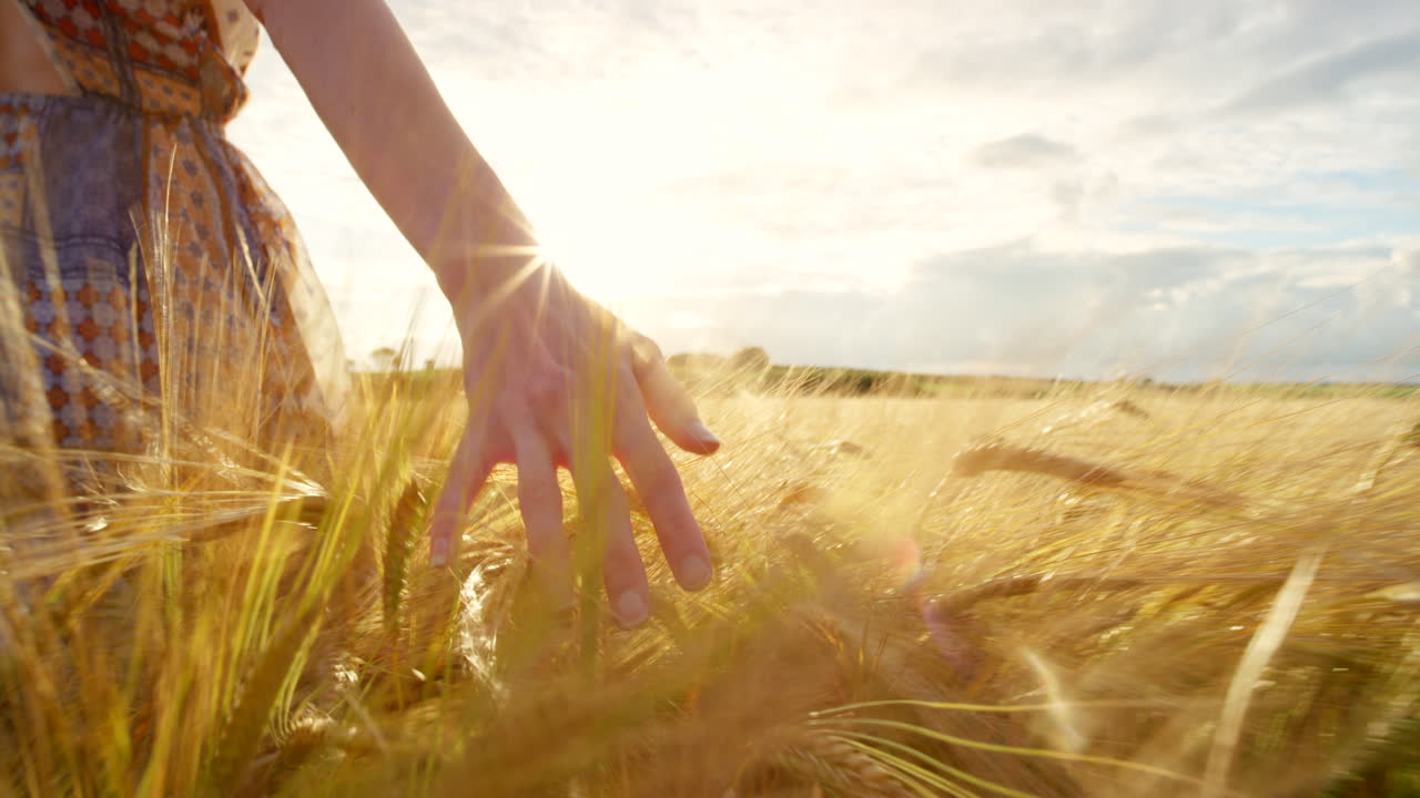 밀 에 있는 여자 의 손