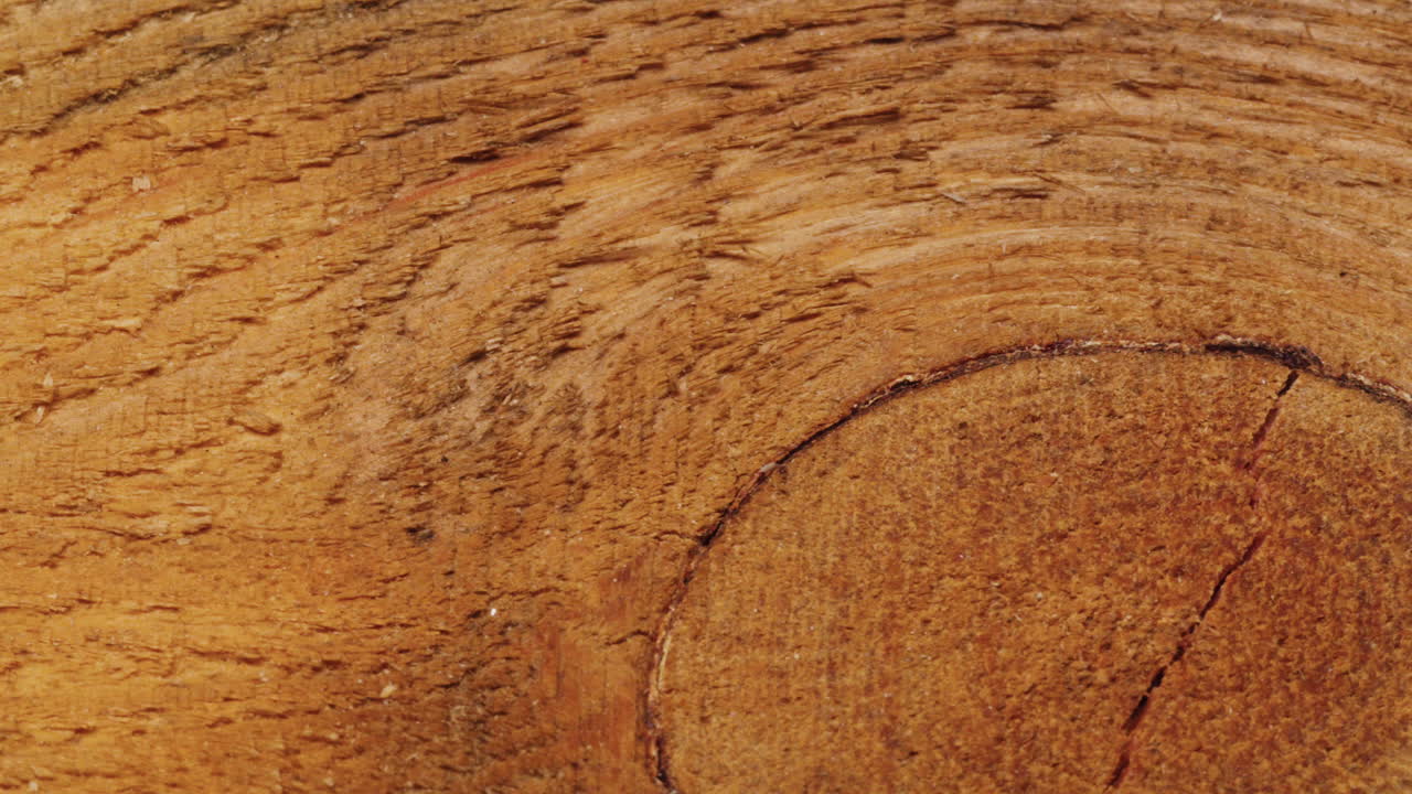 Close-up of Wood Grain Texture