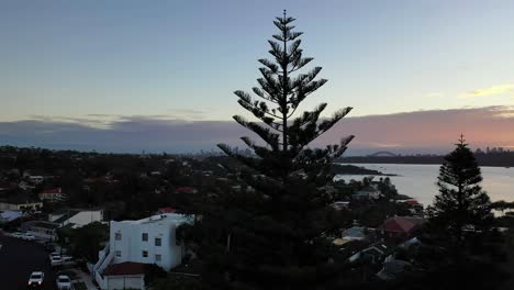 Sydney---Watsons-Bay-Old-South-Head-Rd-Flug