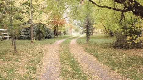 Dirt-Path-in-an-Apple-Orange-with-Colorful-Fall-Leaves-Blowing-in-the-Wind-1080p-60fps