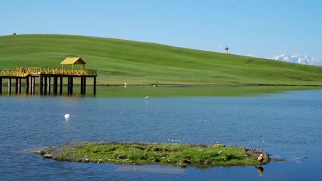 lagos y prados, en la prefectura autónoma mongola de bayingol, xinjiang, china.