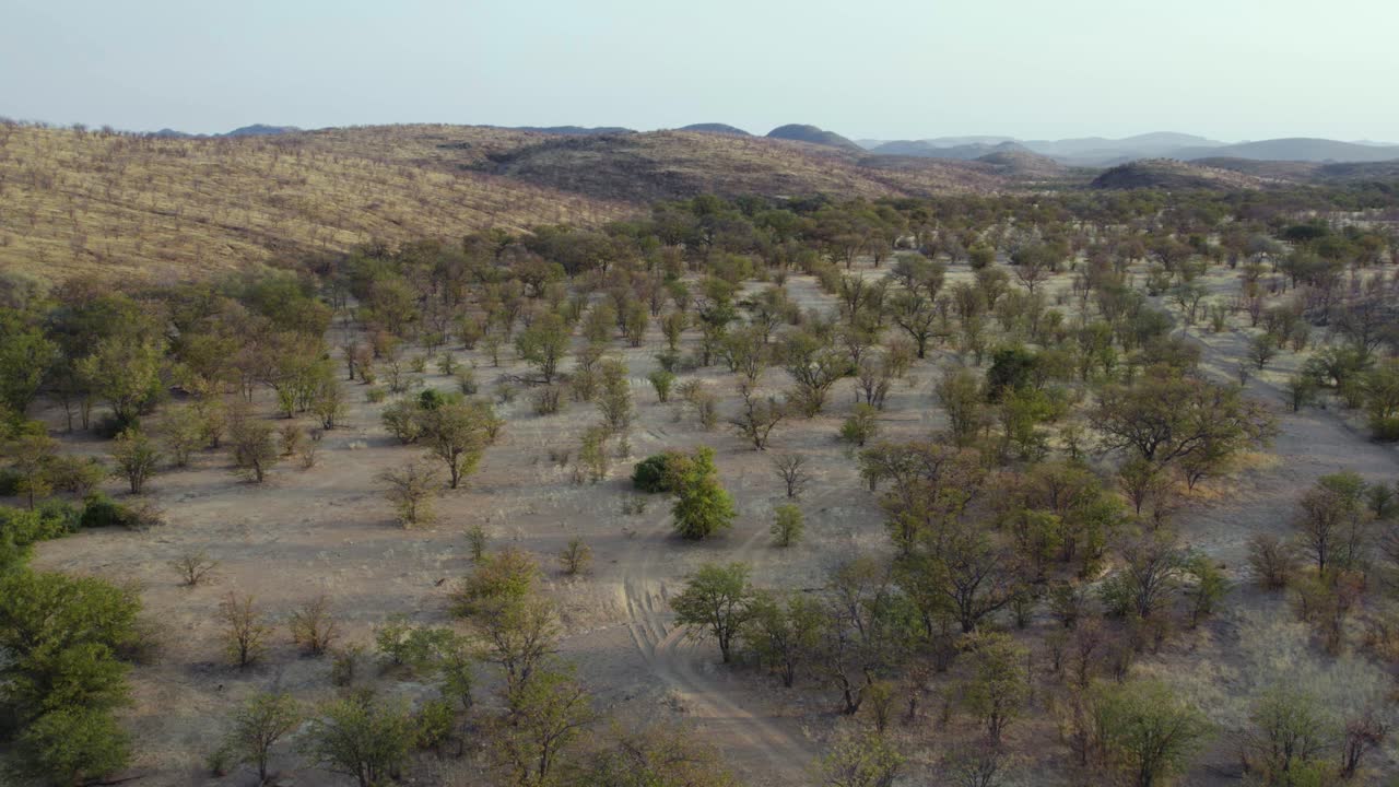 아름다운 나미비아, 아프리카의 에토샤 국립 공원 풍경 - 공중