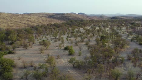 Etosha-National-Park-Landscape-in-beautiful-Namibia,-Africa---Aerial