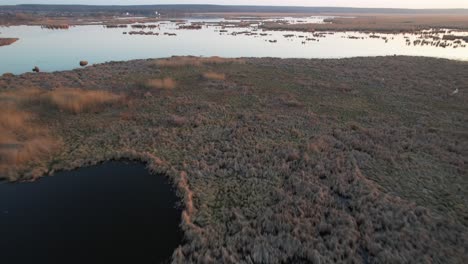 Serene-wetland-with-scattered-water-bodies-at-sunset,-aerial-view