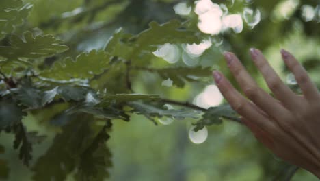 cierra las manos de la mujer con una hermosa manicura tocando las hojas verdes de los árboles, fotografía de belleza
