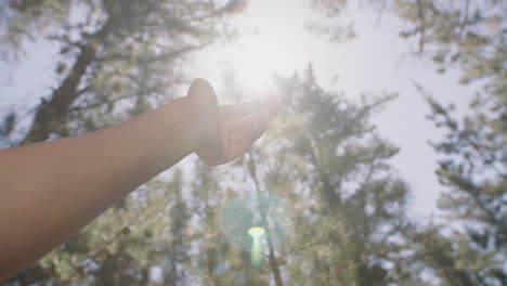 hand touching sun reaching for sunlight shining between fingers catching sunshine in forest woods