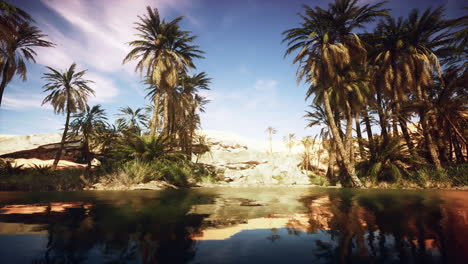 oasis en el desierto