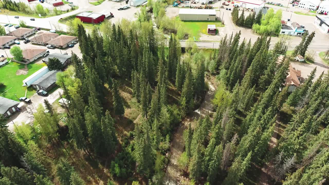 Smooth drone shot of a park next to the street