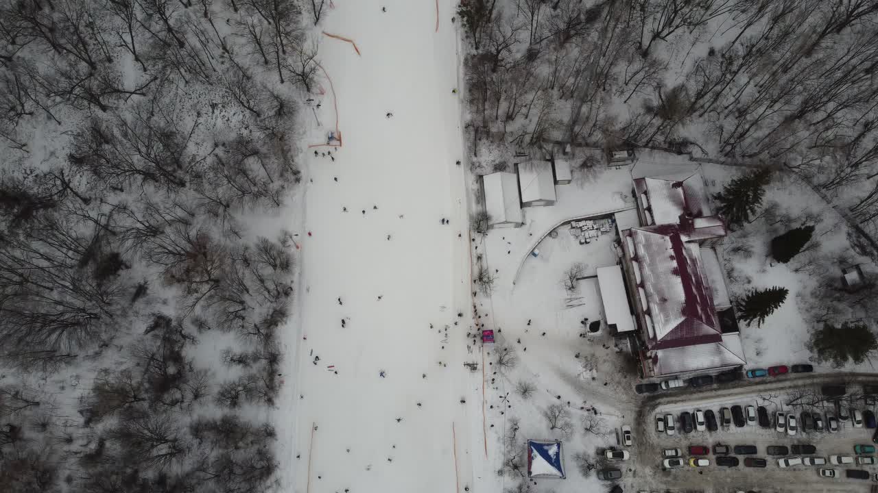 스키 스포츠, 겨울 눈. 쇼로 뒤덮인 숲의 나무들. 추운 겨울 눈 내리는 날씨. 스키장. 우크라이나, 키예프