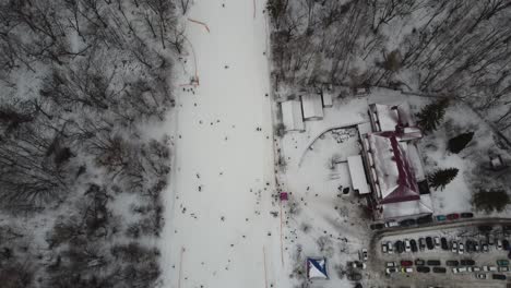 Skiing-sport,-winter-snow.-Trees-in-forest-covered-with-show.-Cold-winter-snowing-weather.-Skiing-resort.-Ukraine,-Kiev