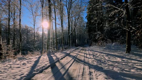 Caminando-Por-Un-Sendero-En-Un-Bosque-Nevado-Durante-La-Noche-Invernal,-Mientras-El-Sol-Se-Pone-Detrás-Del-Bosque