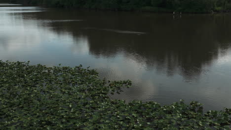 Lamar-lake-wilderness-wetland-landscape-in-Missouri,-water-reflection,-tilt-up