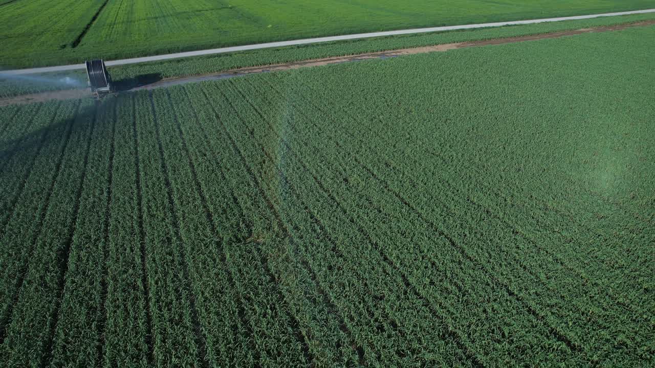 Intensiv vanding og moderne vandforvaltning i et tørkeplaget landbrugslandskab, der symboliserer klimaforandringers konsekvenser og strategier for landbrugsmodstandsdygtighed i Italiens Po-slette, en central region for fødevareproduktion