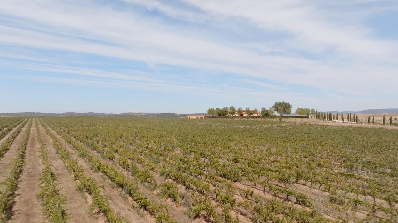 vista aérea de viñedos y campos en las afueras del histórico pueblo de trujillo, extremadura, españa