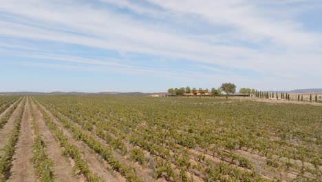 ariel view of vineyards and fields on the outskirts of the historic village of trujillo, extremadura, spain