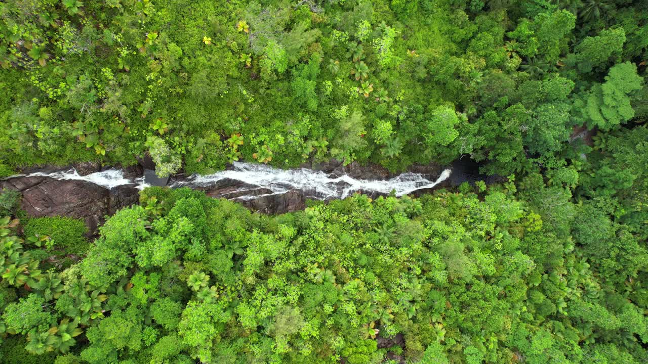 drone de ojo de pájaro de la cascada de sauzier, denso bosque tropical con palmeras y piedra de granito, mahe seychelles 30fps 1