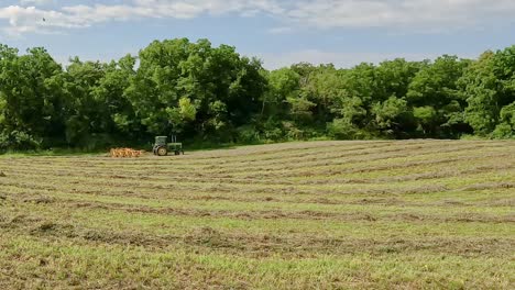 tractor verde tirando del rastrillo de heno a través de alfalfa cortada y seca para hacer hileras en preparación para empacar heno