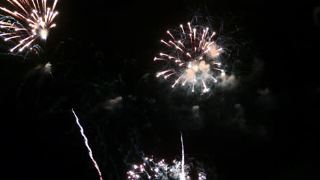 hermosa celebración abstracto colorido espectáculo de fuegos artificiales en el fondo de la noche