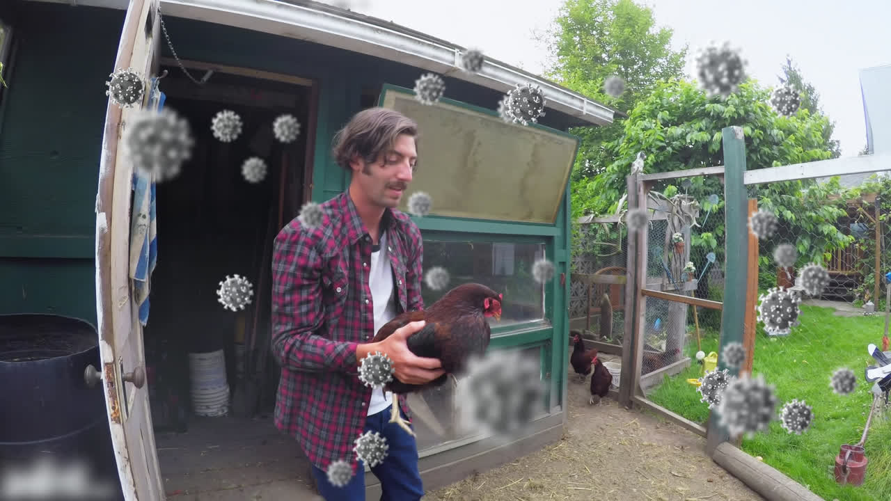 células covid-19 contra el hombre que tiene pollo