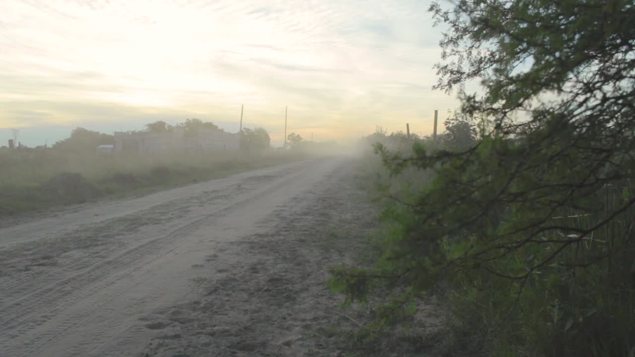 A cool vintage car drive towards camera, traveling from behind a tree at sunset spreading dust around, skyline background