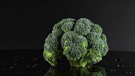 testa di broccoli su sfondo nero