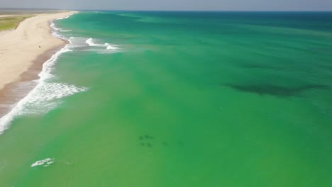 Drone-Shot-of-Seals-Swimming-in-Cape